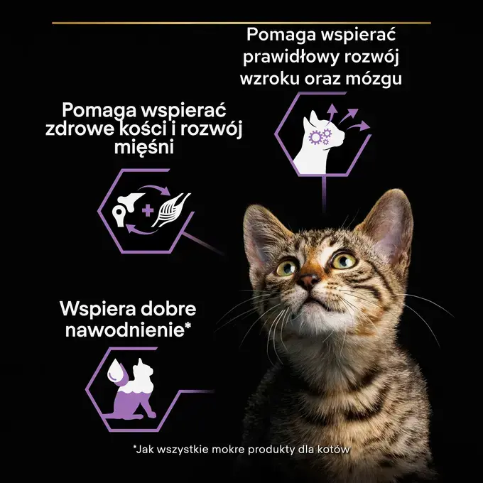 PRO PLAN® HEALTHY START KITTEN, Karma mokra dla kociąt, Delikatne kawałki z Indykiem w sosie - obrazek 3