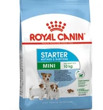 Royal Canin Mini Starter Mother&Babydog 1 kg