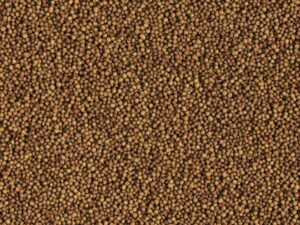 TROPICAL GRANULAT 100ML/50G