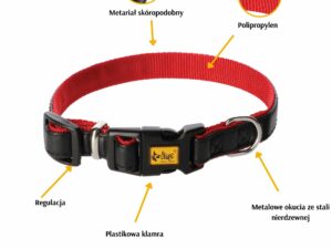 DINGO Obroża BASIC z plastikowym zapięciem czarno-czerwona 2,0x50cm