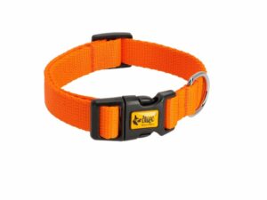 DINGO Obroża ENERGY z taśmy z zapięciem plastikowym pomarańczowa 1,0x30cm