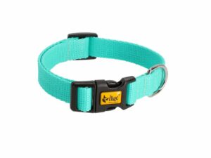 DINGO Obroża ENERGY z taśmy z zapięciem plastikowym miętowy 1,0x30cm