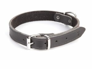 DINGO Obroża skórzana Classic podszyta filcem 1,0x24cm czarna