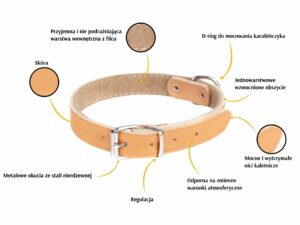 DINGO Obroża skórzana Classic podszyta filcem 3,0×60 cm natural
